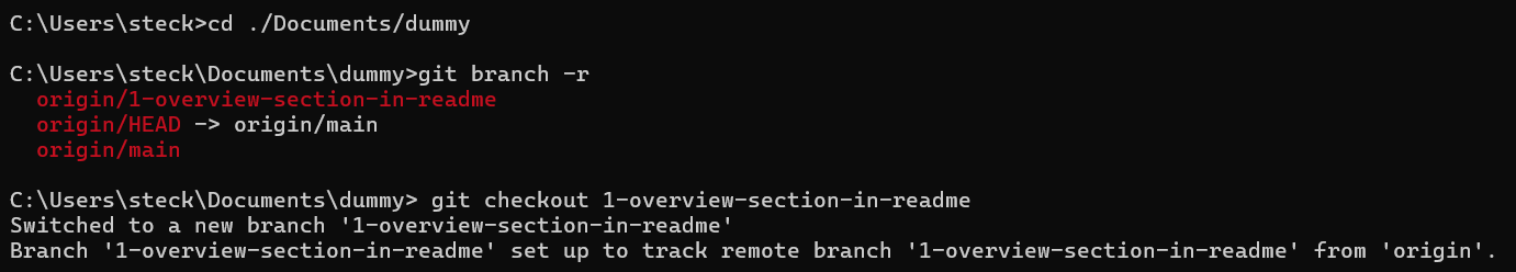 git checkout branch