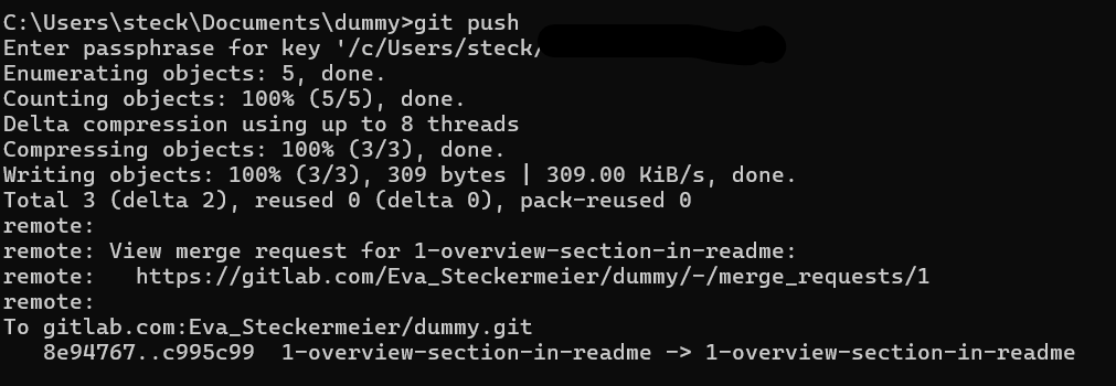 git push