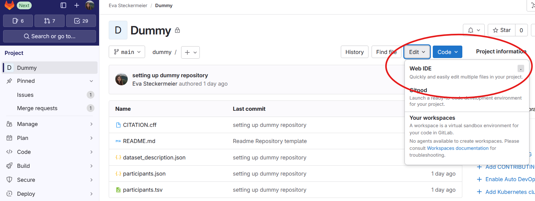 open ide repository